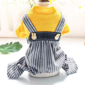 Traje lindo para perros de cuatro patas