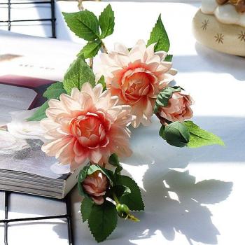 Corolle Dahlia Fête