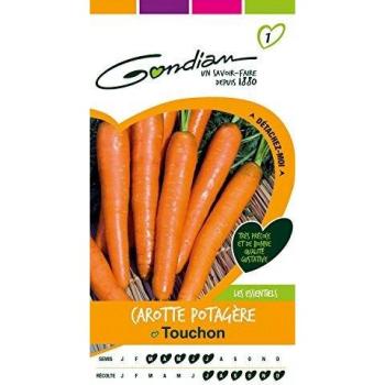 Gondian 151230 Semences