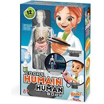 Human Body Anatomy Model with Soft Tissue Organs