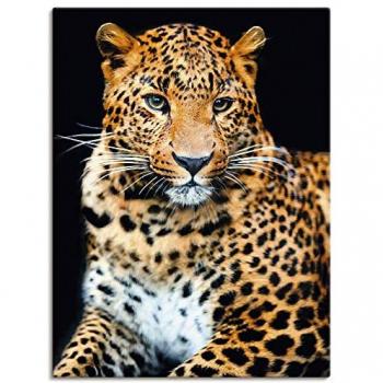 Wandbild ARTLAND Wütender wilder Leopard, Bilder