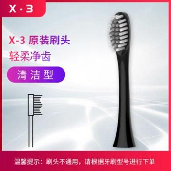 Whitening Sonic Electric Toothbrush with USB Charging and 4 Brush Heads