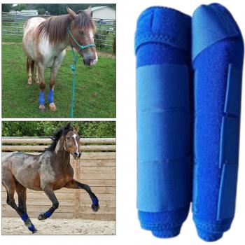 Bottes de protection arrière pour chevaux respirantes