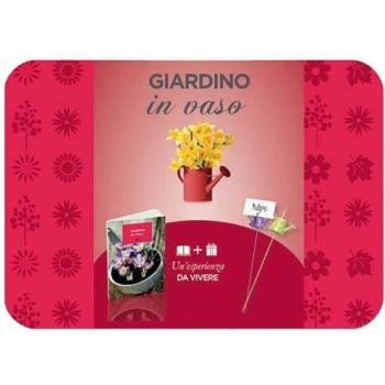 Giardino in vaso. Con gadget