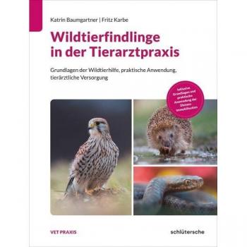 Wildtierfindlinge in der Tierarztpraxis