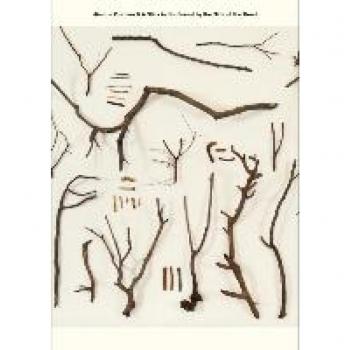 Jimmie Durham & A Stick in the Forest by the Side of the Road : Series (vol.1-12)