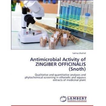 Antimicrobial Activity of ZINGIBER OFFICINALIS