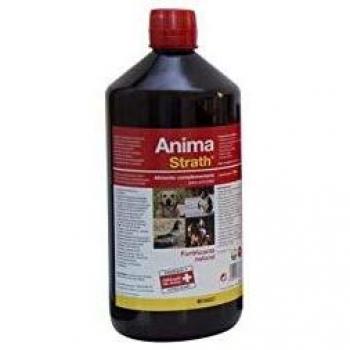 Anima Strath 1 L
