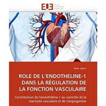 ROLE DE L’ENDOTHELINE-1 DANS LA RÉGULATION DE LA FONCTION VASCULAIRE: Contribution de l'endothéline-1 au contrôle de la réactivité vasculaire et de l'angiogenèse