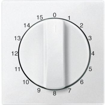 Piastra di commutazione Merten per timer 539019