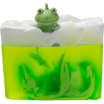 Eco-Friendly Green Soap Slice with Toy