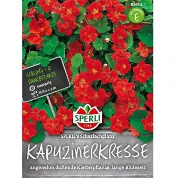 Sperli Scharlachglanz Kapuzinerkresse, grüne Samen
