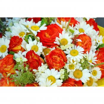 Papermoon Fototapete »Blumenpracht: Rosen und Orchideen«