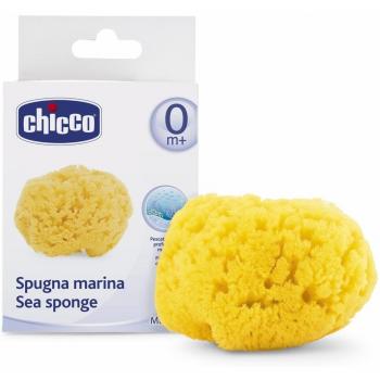 Spugna Oceanic Chicco Igiene 0+