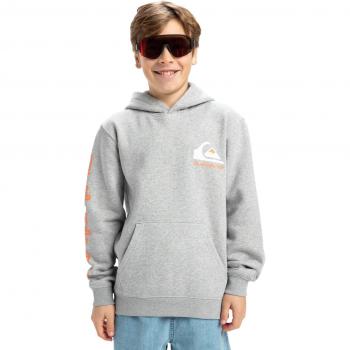 Felpa Bambino Quiksilver Omni Logo Grigia 12 Anni