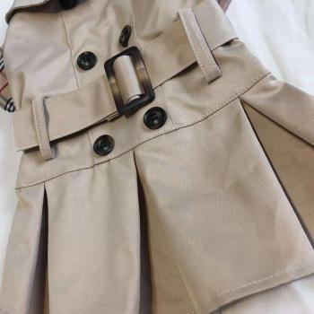 Pug Windbreaker Dress for Small Dogs