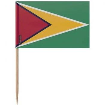 Cure-dents 100 pièces Drapeau Guyana 8cm