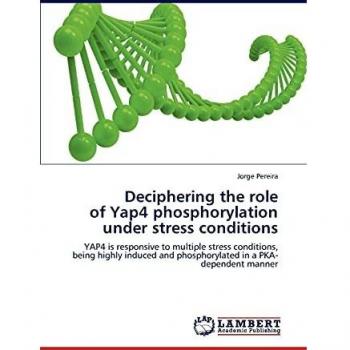 Deciphering the role of Yap4 phosphorylation under stress conditions: YAP4 is responsive to multiple stress conditions, being highly induced and phosphorylated in a PKA-dependent manner