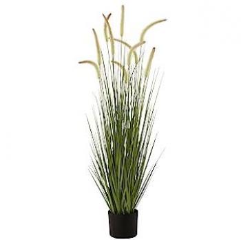 J-Line Herbes Graminées en Pot Vert