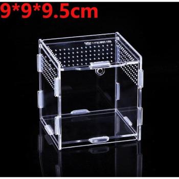 Breathable Terrarium for Reptiles