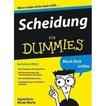 Scheidung für Dummies
