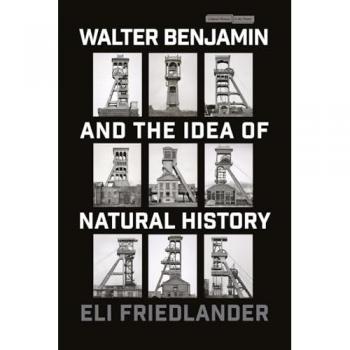 Walter Benjamin and the Idea of Natural History