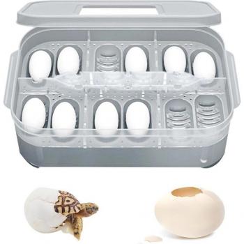 Lizard and Snake Egg Incubator