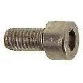 RVS Inbusbout M5 X 20mm 25 Stuks