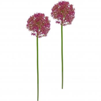Stielblumen-Sets: I.G.E.A. Kunstblume „Allium“ – 80 cm