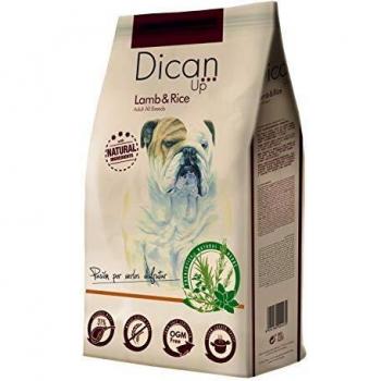 Dibaq