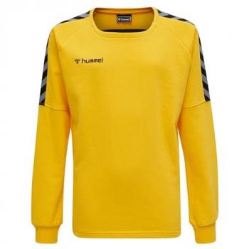 Felpa Hummel Authentic Training per bambini