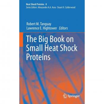 The Big Book on Small Heat Shock Proteins