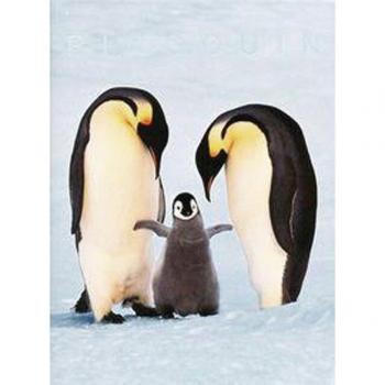 FO-25 LANTING PINGOUIN