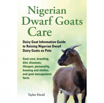 Nigerian Dwarf Goats Care: Dairy Goat Information Guide to Raising Nigerian Dwarf Dairy Goats as Pets
