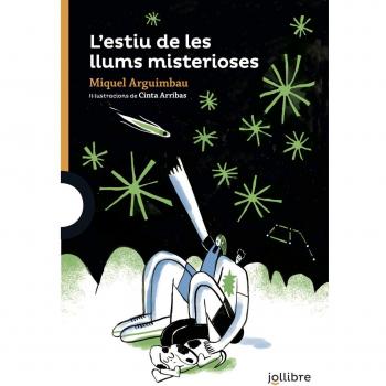 L'estiu de les llums misterioses (Tapa blanda).