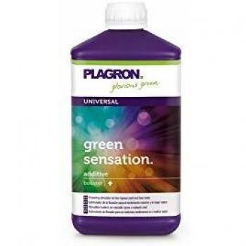 Plagron Énergie Verte