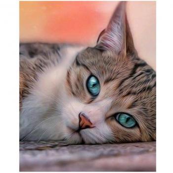 Charming Cat 5D Diamond Painting Set 20X30CM