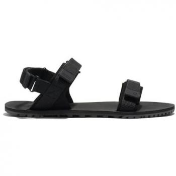 Scarpe Xero D‑Trail per Donna, colore Nero, EU 40