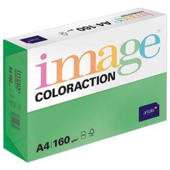 Coloraction A4 160 g 250 ks