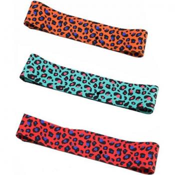 Leopard Print Loop Resistance Bands