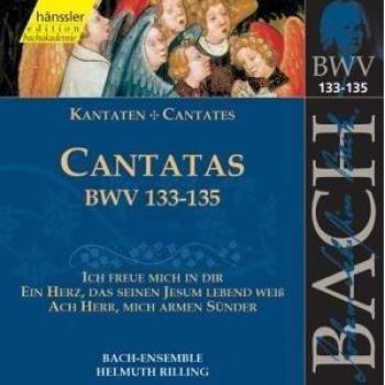Bachakademie Vol. 42: BWV 133-135 Kantaten