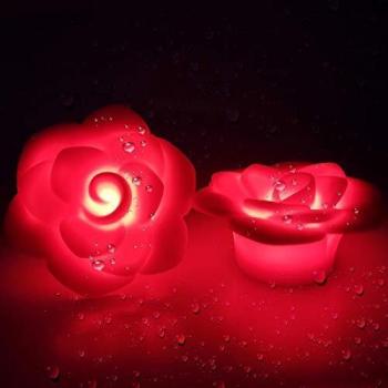 LED Pool Licht 2 Stück – IP68 wasserdichtes Badewannenlicht
