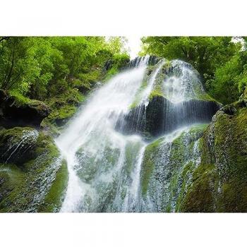 Peinture Imprimée en HD Cascade Autoire 65x97 cm CEANOTHE