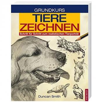 Grundkurs Tiere Zeichnen