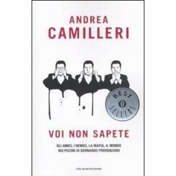 Voi non sapete. Gli amici, i nemici, la mafia, il mondo nei pizzini di Bernardo Provenzano