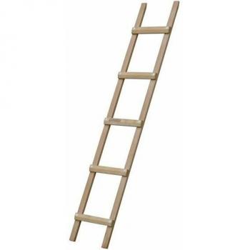 Echelle de toit en bois, longueur 5,50 m, écartement des barreaux 33 cm (B3155039)