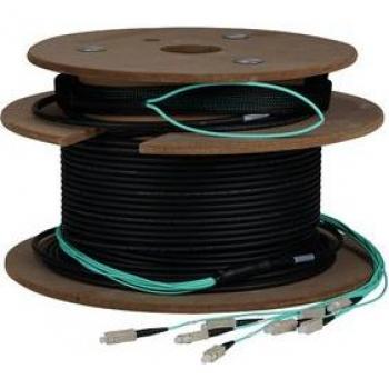 EFB 12G OM3 Trunkkabel 20m SC/SC