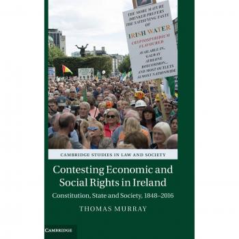 Contesting economic and social rights in ireland hardcover