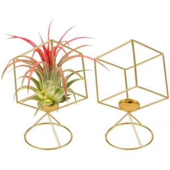 Soporte Decorativo para Claveles de Aire
