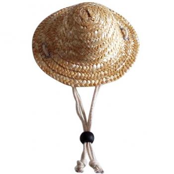Small Dog Summer Straw Hat